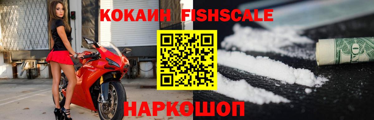 продажа наркотиков  Вход с VPN  Тайшет  Cocaine  КОКАИН FishScale  Кокаин Эквадор 