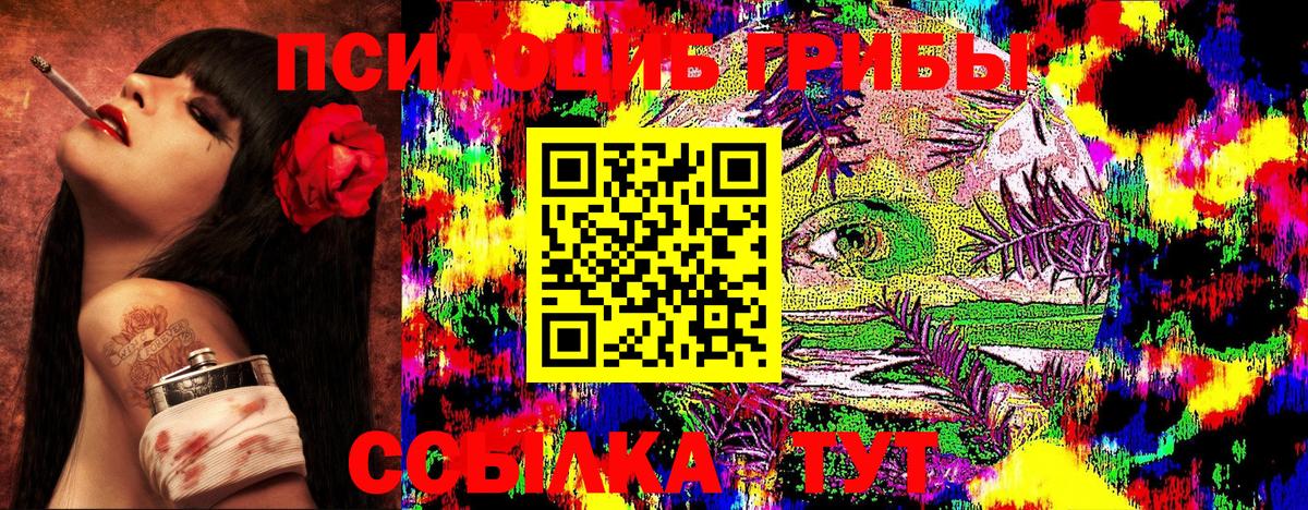 Галлюциногенные грибы GOLDEN TEACHER  Вход с VPN  Тайшет 