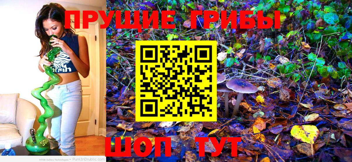 Галлюциногенные грибы Cubensis Тайшет
